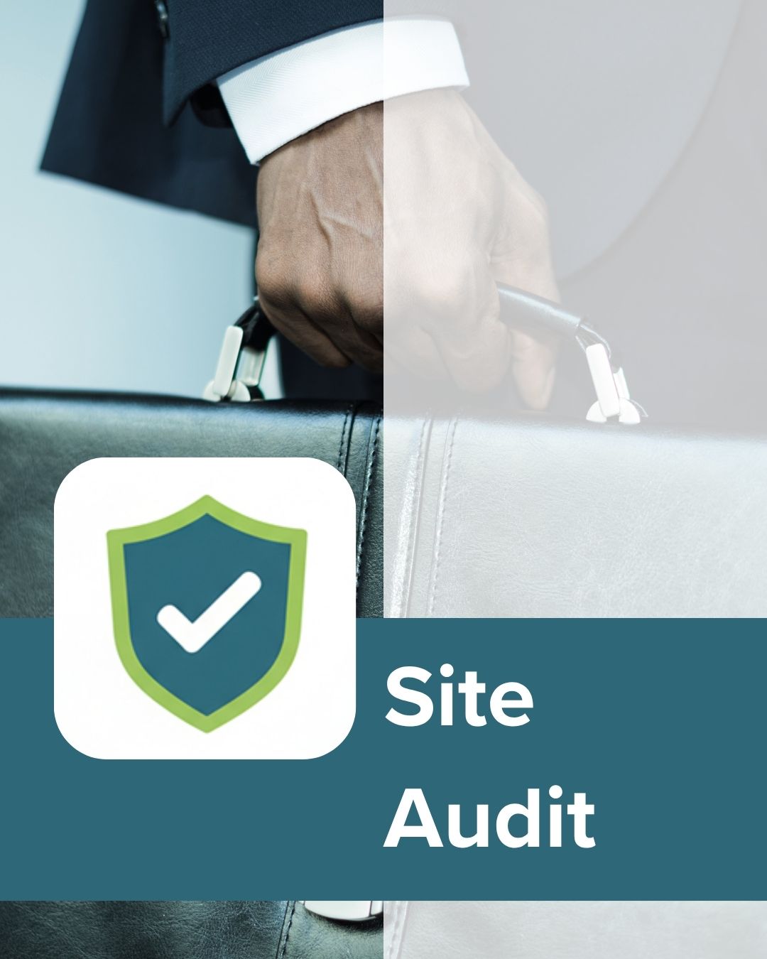 Site Audit